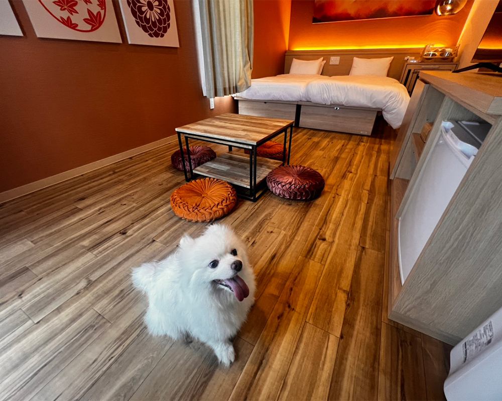 愛犬と一緒に宿泊